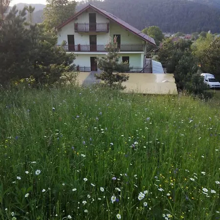 Grandemi Belvedere Bucovina * Frasin