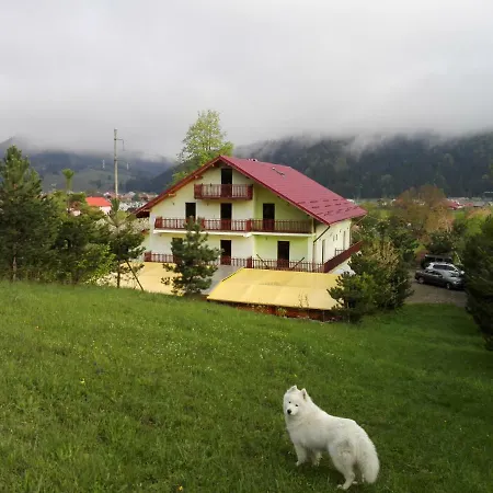 Grandemi Belvedere Bucovina Frasin